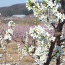 운문가는길 이미지