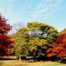 평창동강로 이미지