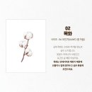 색연필 식물 세밀화 이미지