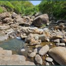 지리산별담 이미지