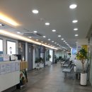 바로튼튼신경외과의원 | 인천 논현 신경외과 바로튼튼의원 신경치료 초기에 대응해야 합니다