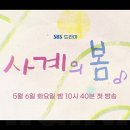사계 이미지