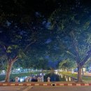 치앙마이 노스게이트 재즈펍 후기 | 치앙마이 감성 가득한 올드타운 라이브 바 추천