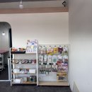 봄이네 애견 이미지