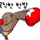 더블유복싱 이미지