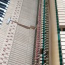 송암초등학교 이미지