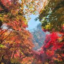 남산 산책로 이미지