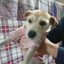 아산만로 이미지