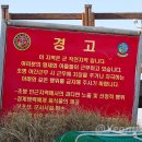 도구로 73 (1) 이미지