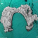 다나음동물병원 이미지