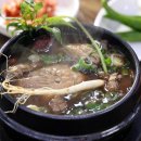 신정약초 이미지