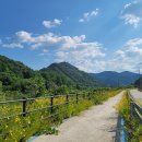 장군목인증센터 이미지