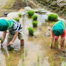 광탄어린이집 이미지