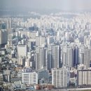 디앤디오피스알파 이미지