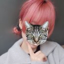 스테이린 | [일본일기:134] 비 오는 날 운치있게 하카타 나들이