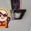 성우전파사