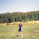 서쪽노을 이미지