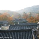 평화동-07 이미지