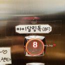 마이달링독 이미지