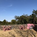 어썸스테이 이미지