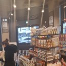 도그 어바웃 이미지