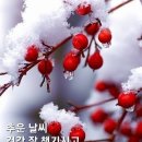 대성당구장 이미지