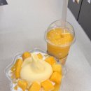 용아로-1L | 광주 망고빙수 맛집 고망고 주기적으로 수혈 해야돼