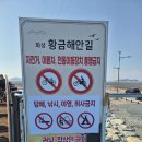 20261010 화성 황금해안길 (리딩 베지밀님) 이미지