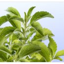 정진한의원 이미지