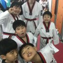 강호체육관(태권도) 이미지