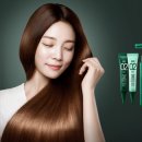 아모스프로페셔널