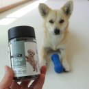 엠엔바이오 이미지