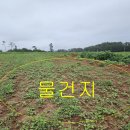 [국도77] 태안군 신장리