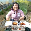 교포농장 이미지