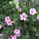 곡성-148 이미지