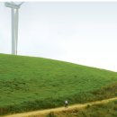 새하얀목장 이미지