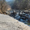 구룡밀면 이미지