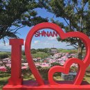 섬 맨드라미 축제 이미지