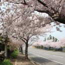 화순해안로 이미지