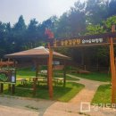 유아숲체험원(2) 이미지