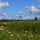 (주)정도 이미지