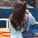 대명(528) 이미지