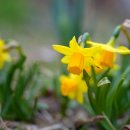 우체국길 이미지