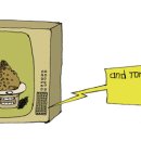 Diet 상식 13가지 이미지