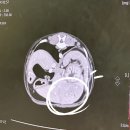 리본 동물병원 이미지