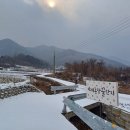아침 이레 농장 네이버블로그