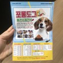 포롱도그 | 까루살롱 전주 애견카페 수제간식 포롱도그