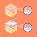 루디아뷰티 | [루디아 크라운 판테놀 뉴트리션 크림] 사용 솔직 후기! - 건성, 탄력저하 피부 추천