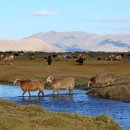 ㈜보물섬투어 이미지