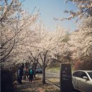 구름위의 산책 이미지